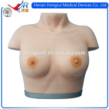 ISO Advanced Breast Examination Modell